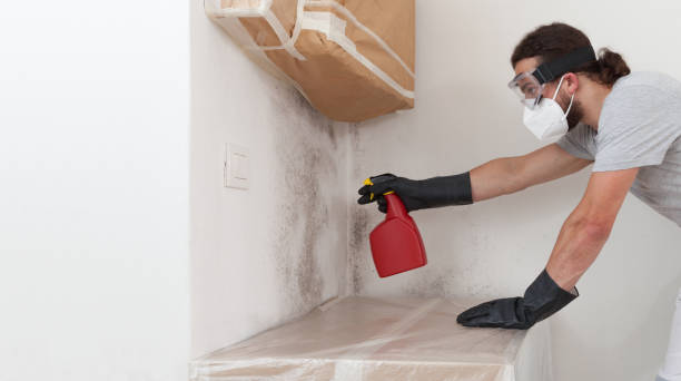 Attic Mold Remediation treatment on roof deck in Lititz